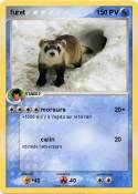 furet