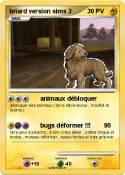 briard version sims 3 briard version