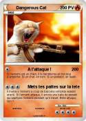 Dangerous Cat