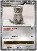 chaton
