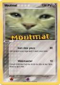 Moutmat