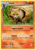 renard