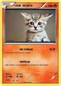 chat bizarre