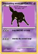 loup-bulldog