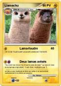 Llamachu