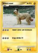 briard raser