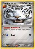 Tigre Blanc