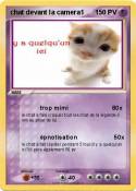 chat devant la
