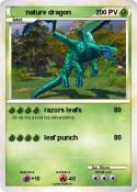 nature dragon nature dragon