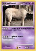 irish wolfhound