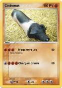 Cochonus Cochonus