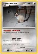 chipounette