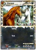 Chevaux