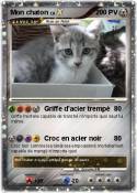 Mon chaton