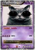 chat a lunettes