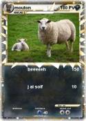 mouton