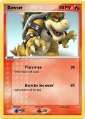  Bowser