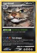 Chat-Gréssif Chat-Gréssif
