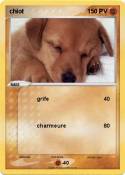 chiot