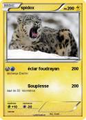 spidox