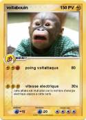 voltabouin voltabouin