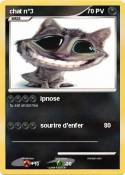 chat n°3 chat n°3
