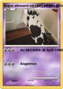 dogue allemand