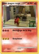 chien dragon rouge chien dragon