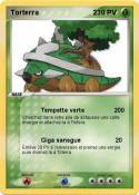 Torterra 2