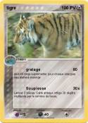 tigre