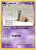 galgo espagnol