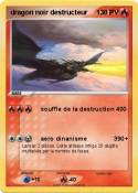 dragon noir
