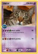 chat ex