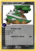 TORTTERA OBSCURE TORTTERA
