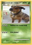 loup mexicain