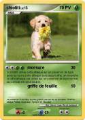 chiotiti