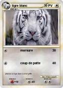 tigre blanc