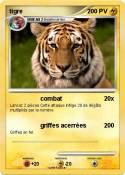 tigre tigre