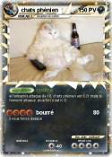 chats phénien