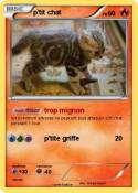 p'tit chat