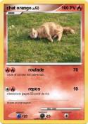 chat orange