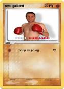 remi gaillard