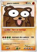 pierre castors