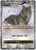 loup mignon!!