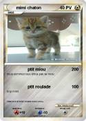 mimi chaton mimi chaton