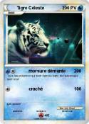 Tigre Céleste