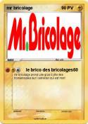 mr bricolage