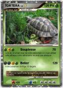 TORTERA