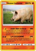 Grosse Cochonne