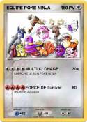 EQUIPE POKE